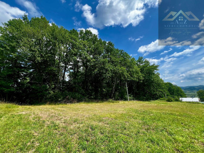 Las mieszany z widokiem na góry - Olszyny  -
małopolskie Zdjęcie nr 4