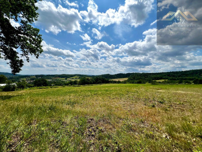 Las mieszany z widokiem na góry - Olszyny  -
małopolskie Zdjęcie nr 7