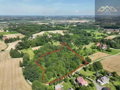 Działka 81 arów- Świebodzin gm Pleśna - Świebodzin  - małopolskie