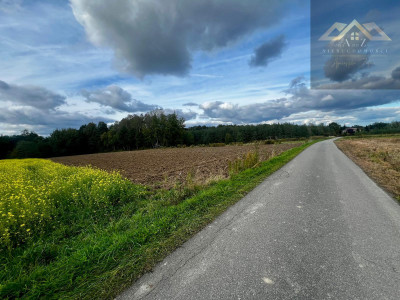 Działka rolno-budowlana blisko lasu Wojnicz 3km - Łopoń  -
małopolskie Zdjęcie nr 2