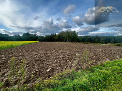 Działka rolno-budowlana blisko lasu Wojnicz 3km - Łopoń  -
małopolskie Zdjęcie nr 3