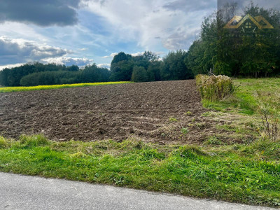 Działka rolno-budowlana blisko lasu Wojnicz 3km - Łopoń  -
małopolskie Zdjęcie nr 4