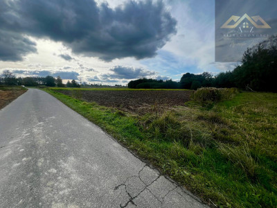 Działka rolno-budowlana blisko lasu Wojnicz 3km - Łopoń  -
małopolskie Zdjęcie nr 5