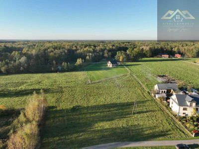 Duża działka blisko lasu brak planu zagospodarowania - Biadoliny Radłowskie  -
małopolskie Zdjęcie nr 10