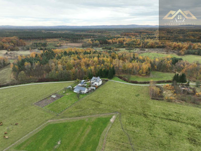 Duża działka blisko lasu brak planu zagospodarowania - Biadoliny Radłowskie  -
małopolskie Zdjęcie nr 2