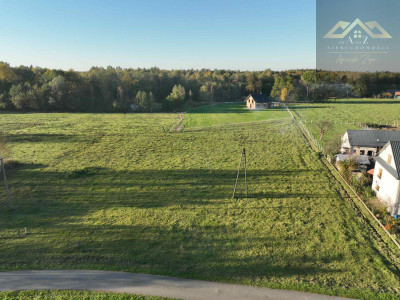 Duża działka blisko lasu brak planu zagospodarowania - Biadoliny Radłowskie  -
małopolskie Zdjęcie nr 3