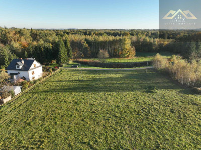 Duża działka blisko lasu brak planu zagospodarowania - Biadoliny Radłowskie  -
małopolskie Zdjęcie nr 6