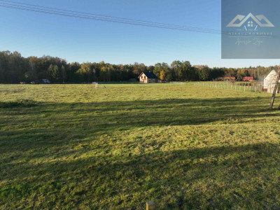 Duża działka blisko lasu brak planu zagospodarowania - Biadoliny Radłowskie  -
małopolskie Zdjęcie nr 7