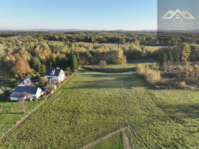 Duża działka blisko lasu brak planu zagospodarowania - Biadoliny Radłowskie  -
małopolskie Zdjęcie nr 8