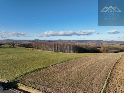 Stoisz wysoko patrzysz daleko widoki rozchodzą się tu szerokimi kadrami idealna działka - Ołpiny  -
małopolskie Zdjęcie nr 9