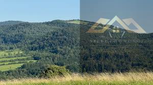 Lasy ponad 76ha zapraszamy - Łysa Góra  -
podkarpackie Zdjęcie nr 2