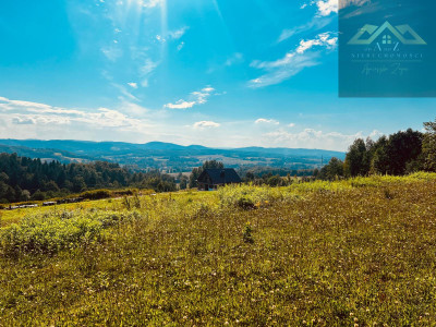 Tatry na horyzoncie - 46 arów na sprzedaż - Siemiechów  - małopolskie