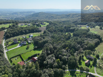 Działka z wydanymi WZ prywatny las bez prowizji - Milówka  -
małopolskie Zdjęcie nr 2