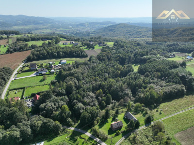 Działka z wydanymi WZ prywatny las bez prowizji - Milówka  -
małopolskie Zdjęcie nr 6