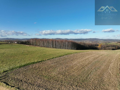 Stoisz wysoko patrzysz daleko widoki rozchodzą się tu szerokimi kadrami idealna działka - Ołpiny  -
małopolskie Zdjęcie nr 10