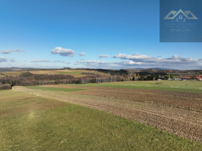 Stoisz wysoko patrzysz daleko widoki rozchodzą się tu szerokimi kadrami idealna działka - Ołpiny  -
małopolskie Zdjęcie nr 13