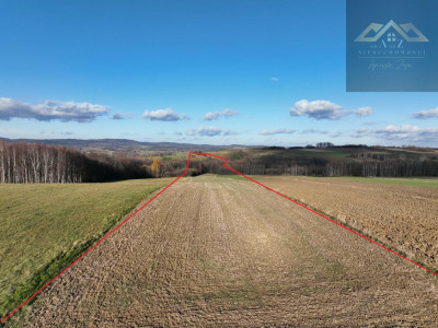 Stoisz wysoko patrzysz daleko widoki rozchodzą się tu szerokimi kadrami idealna działka - Ołpiny  - małopolskie