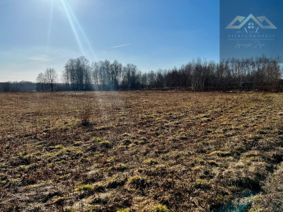 Działka z warunkami zabudowy - Biadoliny Radłowskie -
małopolskie Zdjęcie nr 9