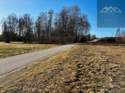 Działka z warunkami zabudowy - Biadoliny Radłowskie -
małopolskie Zdjęcie nr 10