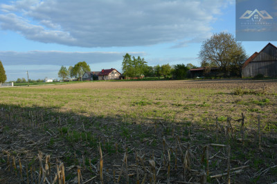 Działka pod usługi lub budowę - Szczurowa   -
małopolskie Zdjęcie nr 2