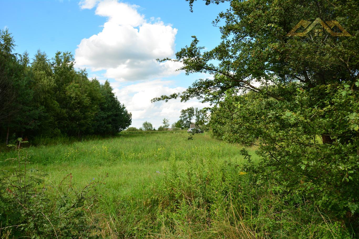 Działka w Radłowie - Radłów   -
małopolskie Zdjęcie nr 1