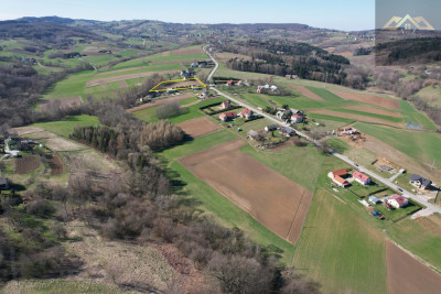 Działka z lasem pod budowę domu - Siedliska   -
małopolskie Zdjęcie nr 3