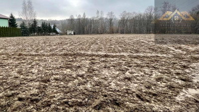 Działka z lasem pod budowę domu - Siedliska   -
małopolskie Zdjęcie nr 4