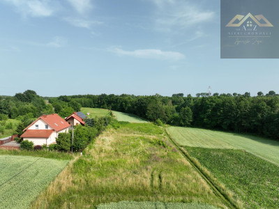 Tarnów RZĘDZIN Z WYDANYMI WZ - Rzędzin  -
małopolskie Zdjęcie nr 2