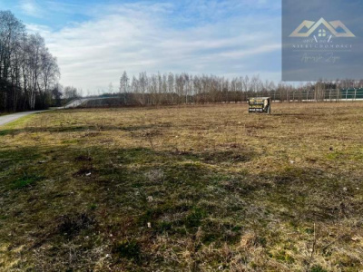 Działka z warunkami zabudowy - Biadoliny Radłowskie -
małopolskie Zdjęcie nr 4