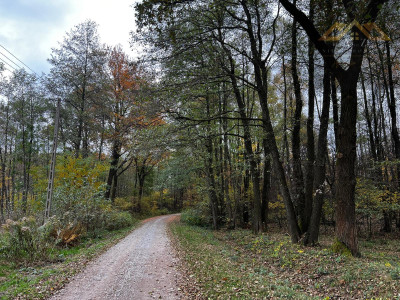 Działka rolno - budowlana pod lasem - Biadoliny Radłowskie   -
małopolskie Zdjęcie nr 10