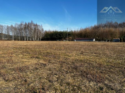 Działka z warunkami zabudowy - Biadoliny Radłowskie  - małopolskie