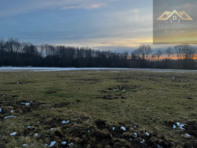 Działka rolna pod KRUS - Perła  -
małopolskie Zdjęcie nr 3