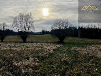 Grunty 3 ha pod agroturystykę stawy stadninę koni zabudowę - Gnojnik  -
małopolskie Zdjęcie nr 11