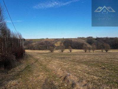 Grunty 3 ha pod agroturystykę stawy stadninę koni zabudowę - Gnojnik  -
małopolskie Zdjęcie nr 4