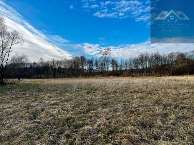 Grunty 3 ha pod agroturystykę stawy stadninę koni zabudowę - Gnojnik  -
małopolskie Zdjęcie nr 6