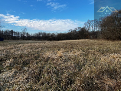 Grunty 3 ha pod agroturystykę stawy stadninę koni zabudowę - Gnojnik  -
małopolskie Zdjęcie nr 8