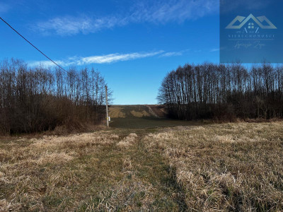 Grunty 3 ha pod agroturystykę stawy stadninę koni zabudowę - Gnojnik  -
małopolskie Zdjęcie nr 9