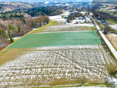 Budowlana 91ar Lichwin gm Pleśna przy lesie - Lichwin  -
małopolskie Zdjęcie nr 2