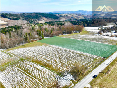 Budowlana 91ar Lichwin gm Pleśna przy lesie - Lichwin  -
małopolskie Zdjęcie nr 3