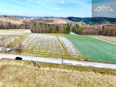 Budowlana 91ar Lichwin gm Pleśna przy lesie - Lichwin  -
małopolskie Zdjęcie nr 4