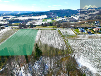 Budowlana 91ar Lichwin gm Pleśna przy lesie - Lichwin  -
małopolskie Zdjęcie nr 5