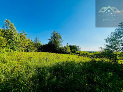 Duża działka w mieście - Krzyż  -
małopolskie Zdjęcie nr 3