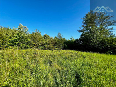 Duża działka w mieście - Krzyż  -
małopolskie Zdjęcie nr 5