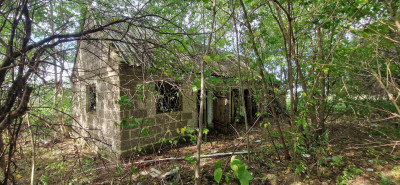 Atrakcyjna działka obok trasy Via Baltica - Gostery  -
mazowieckie Zdjęcie nr 5