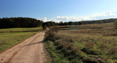 Działki Rekreacyjne Mikosze - Mikosze  -
warmińsko-mazurskie Zdjęcie nr 12