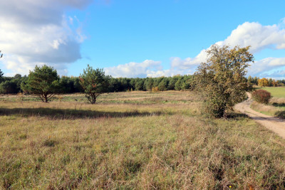 Działki Rekreacyjne Mikosze - Mikosze  -
warmińsko-mazurskie Zdjęcie nr 13