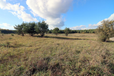 Działki Rekreacyjne Mikosze - Mikosze  -
warmińsko-mazurskie Zdjęcie nr 14