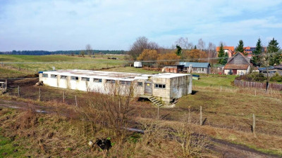 Działka bud Góra gm Orzysz - Góra  -
warmińsko-mazurskie Zdjęcie nr 12