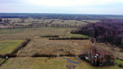 5 x Działek Kwik gm Pisz - Kwik  -
warmińsko-mazurskie Zdjęcie nr 12