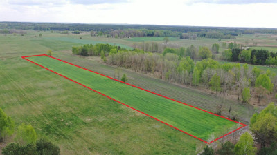 Urokliwa działka z warunkami zabudowy - Cieciory  -
podlaskie Zdjęcie nr 2